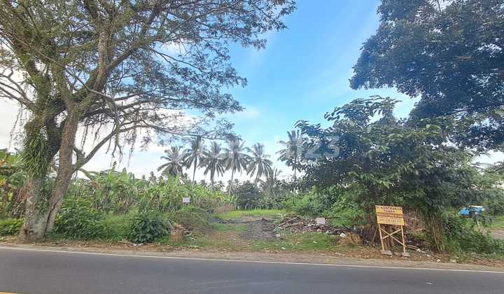 For Rent: Sembung Area Land in Mengwi, Suitable for Showroom Business For Rent: Sembung Area Land in Mengwi, Suitable for Showroom Business