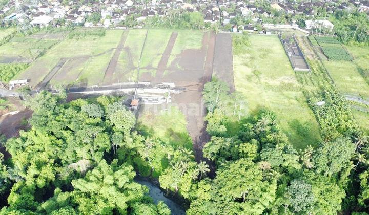 For Sale: Affordable Land Plots Near Kedungu and Yeh Gangga Beaches For Sale: Affordable Land Plots Near Kedungu and Yeh Gangga Beaches