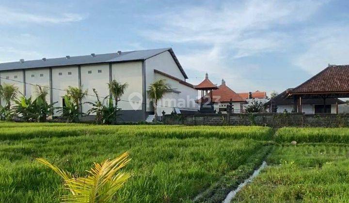 Dijual Tanah Kavling Di Area Villa Dekat Pantai Dan Dekat Canggu 1