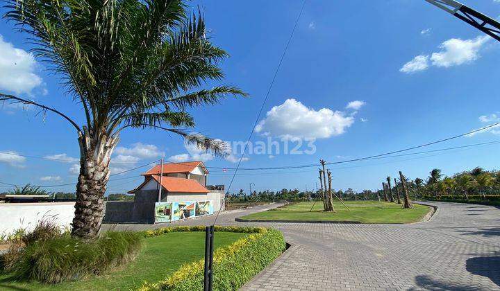 Dijual Tanah Kavling Dekat Canggu Dan Dekat Pantai Kedunggu  2