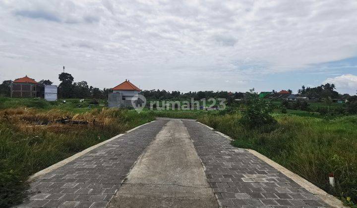 Cheap plots of land for sale with rice field views in strategic locations in Bali 2