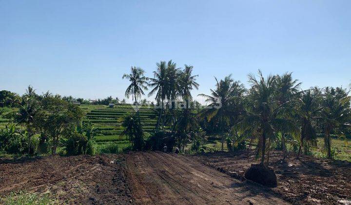 Dijual Tanah Kavling Murah Dekat Ubud Bali Lokasi Strategis 2