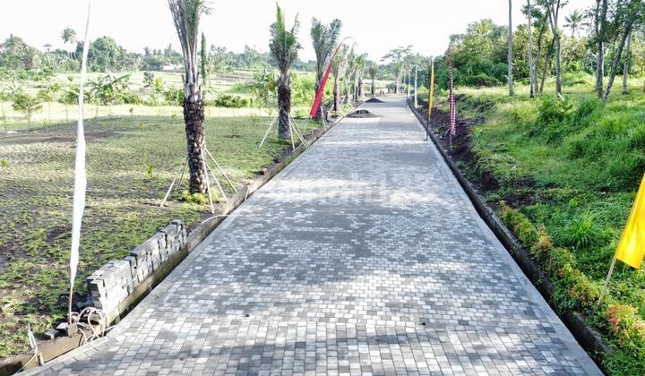 For Sale: Affordable Land Plots Near Kedungu and Yeh Gangga Beaches For Sale: Affordable Land Plots Near Kedungu and Yeh Gangga Beaches