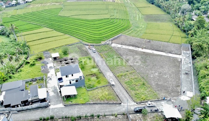 Dijual Tanah Kavling Murah Dekat Pantai Kedunggu dan ke Canggu Dijual Tanah Kavling Murah Dekat Pantai Kedunggu dan ke Canggu