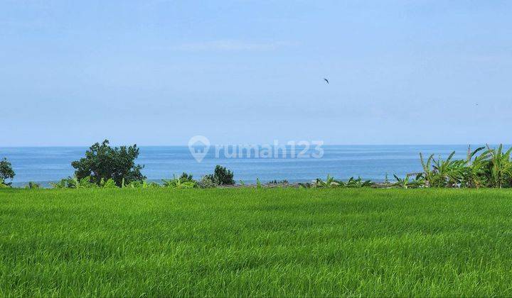 Dijual Tanah Area Kedunggu View Sawah Dan Laut Kawasan Villa 1