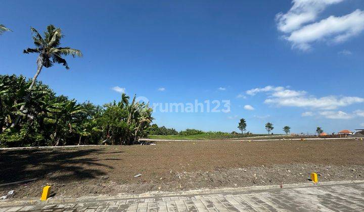 Dijual Tanah Kavling Murah Dekat Pantai Kedunggu Dan Ke Canggu 2