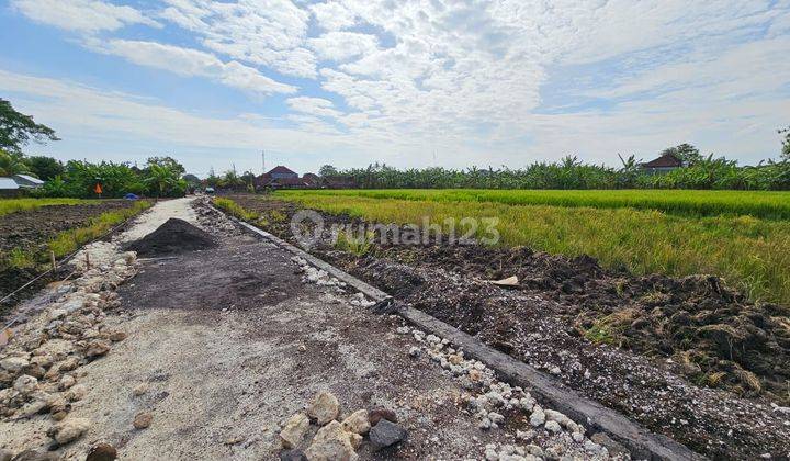 Land For Sale Tanah Kavling Harga Ekonomis Fase Ke Iii di Area Nyitdah, Kediri. Tabanan 2