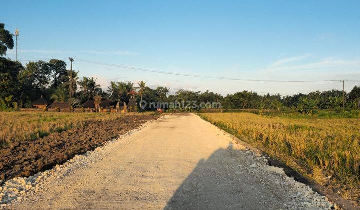 Land For Sale Tanah Kavling Harga Ekonomis di Senapahan, Kediri. Tabanan Lokasi di Pinggir Jalan Utama. 1