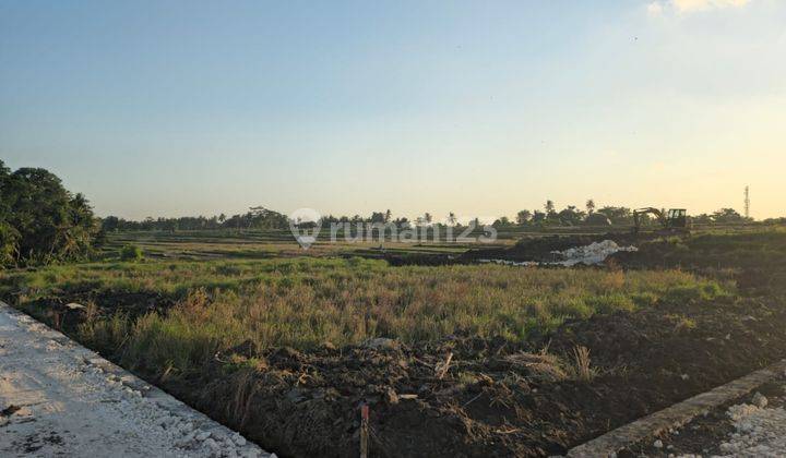 Land For Sale Tanah Kavling Harga Ekonomis di Senapahan, Kediri. Tabanan Lokasi di Pinggir Jalan Utama. 2