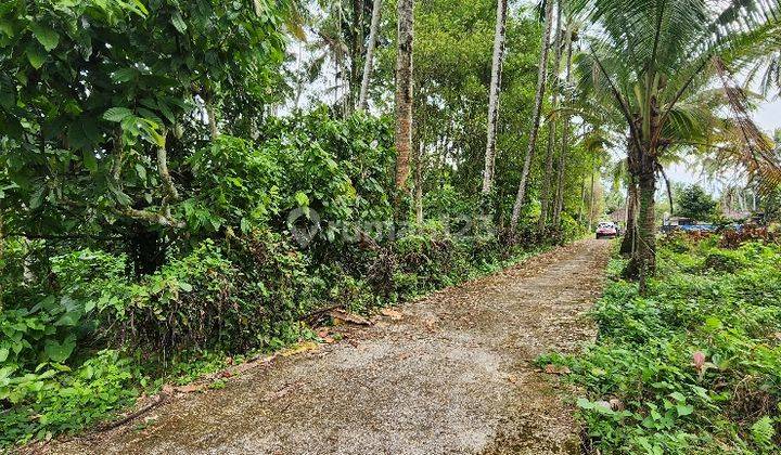 Dijual Tanah Dengan Mata Air Lokasi di Payangan, Marga, Tabanan. 2