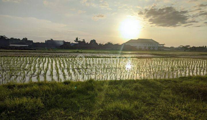 Dijual Tanah Kavling View Sawah Hijau Asri, di Nyitdah,tabana 2