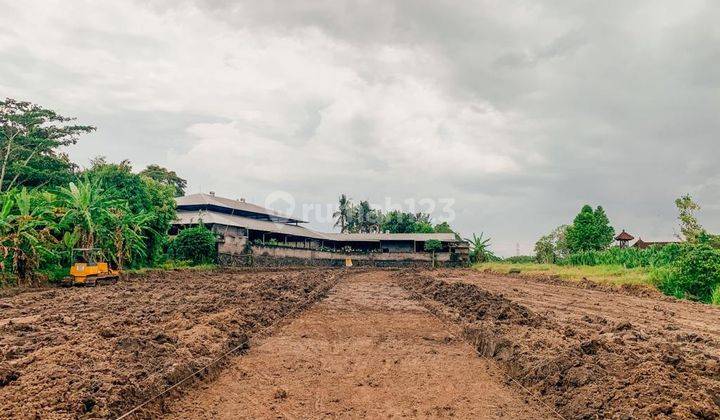 Tanah Kavling Villa Batuan Sukawati, Gianyar  1