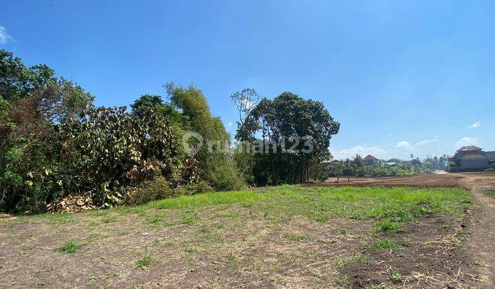 Tanah Kavling Ekslusive Riverside View Hamparan Sawah di Tabanan 2