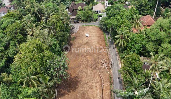 Segera Miliki Tanah Kavling Premium Lingkungan Villa Di Ubud 2