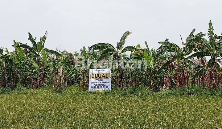 TANAH BUMI PITALOKA BISA PERKAPLING 2