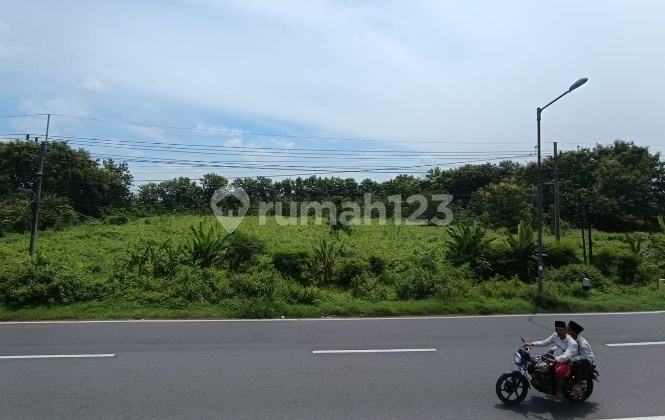 Land on Gedek Mojokerto Main Road. Stunning Pool