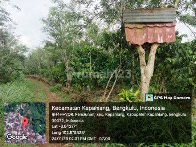 Di Jual Lahan Kavling, Sertipikat Shm, Siap Bangun di Kepahiang 2