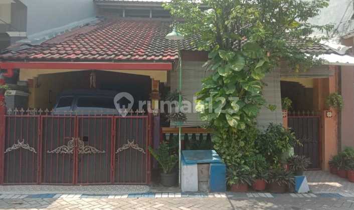 TROPODO HOUSE 7x12 Freehold Title Waru Cheap South Surabaya Rungkut