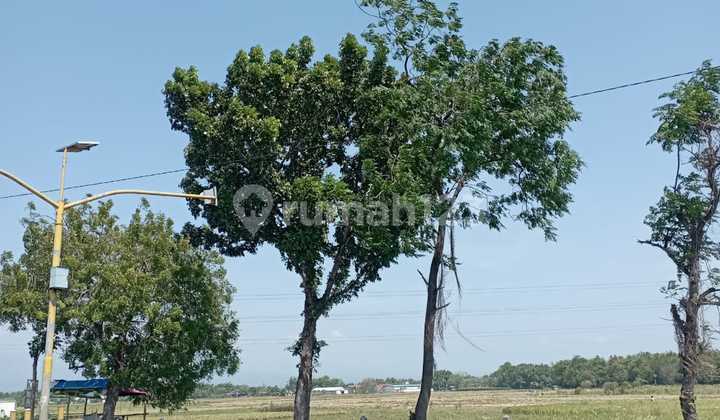 Nganjuk Bypass Sukomoro Land, 3Km to Toll Road, Area 1031 m2 (33x31), Very IDEAL Shape