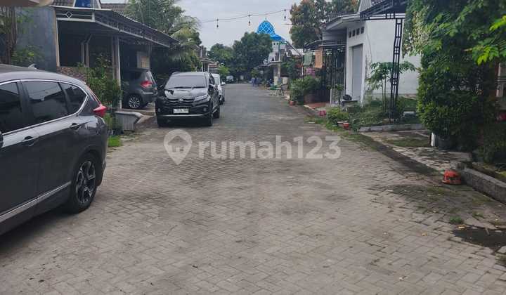 For Rent Renovated House Green Tamansnaa 2