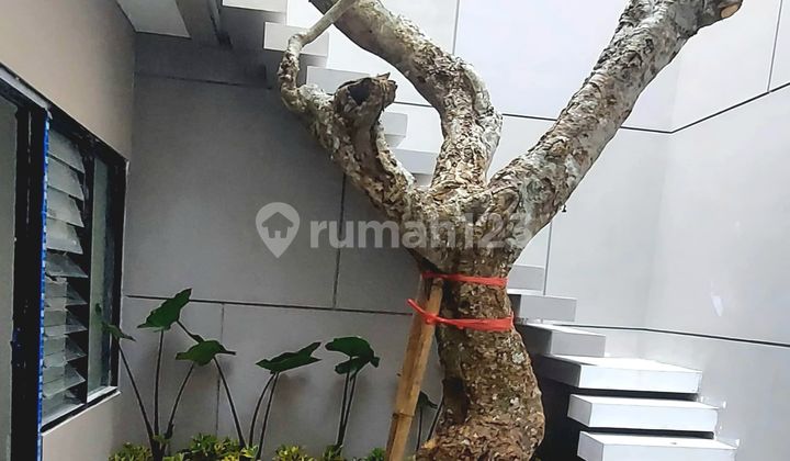 Rumah Surabaya Barat KUPANG BARU Tropical Modern Dkt TOL Mayjen Darmo Permai 2