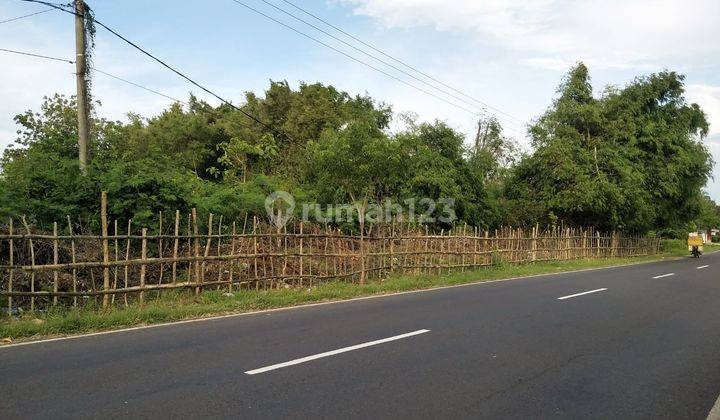 Dijual Tanah Bangkalan Madura Jalan Raya 1