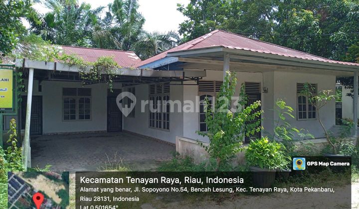 Rumah Luas, Nyaman & Asri Siap Huni Di Tenayan Raya