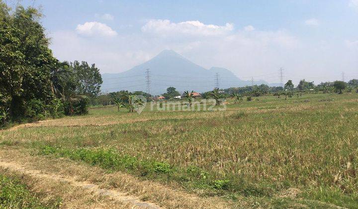 Tanah bekas sawah non produktif sudah 2th cocok perumahan 1