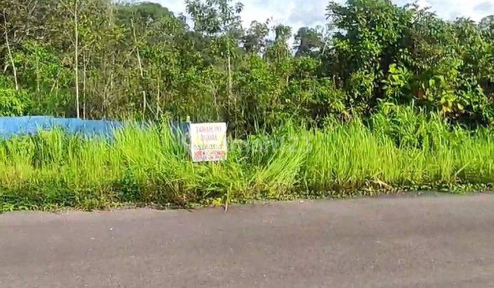 Tanah Comersial Akses Jalan Bagus Depan Peternak Ikan Arwana 1