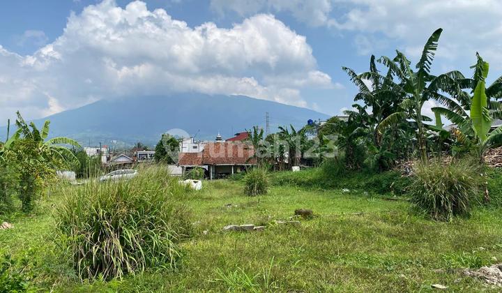 Dijual Cepat Tanah Kosong di Cigombong Bogor Jawa Barat