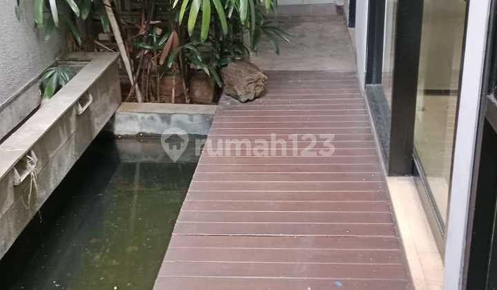 Disewakan Rumah Di Kalibata Bisa Untuk Kantor Bagus SHM di Kalibata Rumah 2