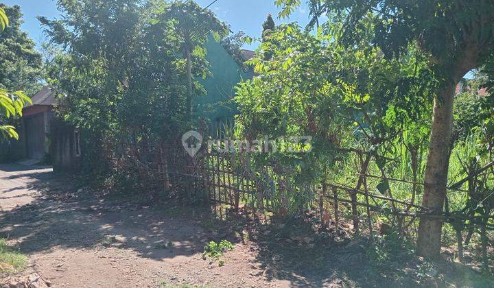 Dijual Tanah Luas 5 Are Lokasi Di Karang Mas ,jimbaran 1