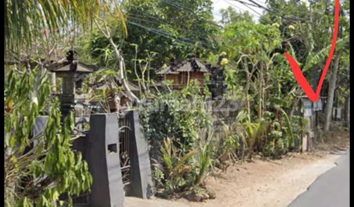 Land 500 M2 For Lease Located In Ungasan 2