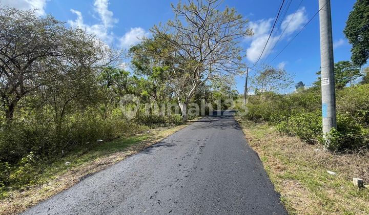Dijual Tanah Kavling yang Berlokasi di Binginsari Unud Jimbaran Dijual Tanah Kavling yang Berlokasi di Binginsari Unud Jimbaran