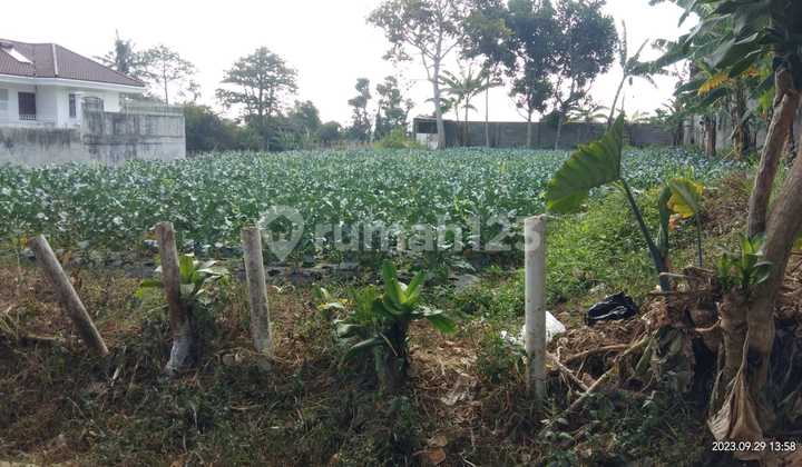 Affordable Yellow Zone Plot for Sale in Sayap Setiabudi