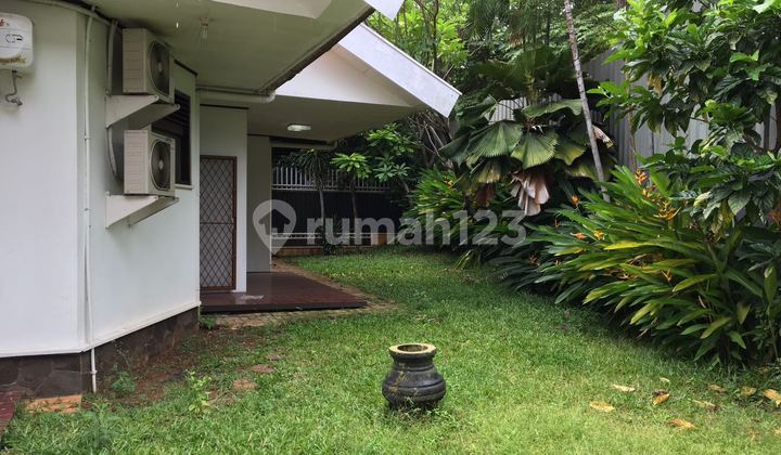 Rumah Tua SHM Nego Sampai Deal di Cipete Selatan Cilandak, Jakarta Selatan