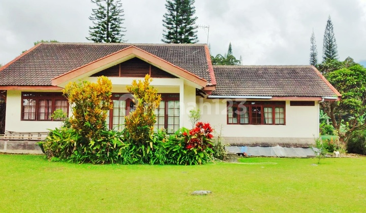 Villa Coolibah Cimacan, Cianjur West Java for Quick Sale Villa Coolibah Cimacan, Cianjur West Java for Quick Sale