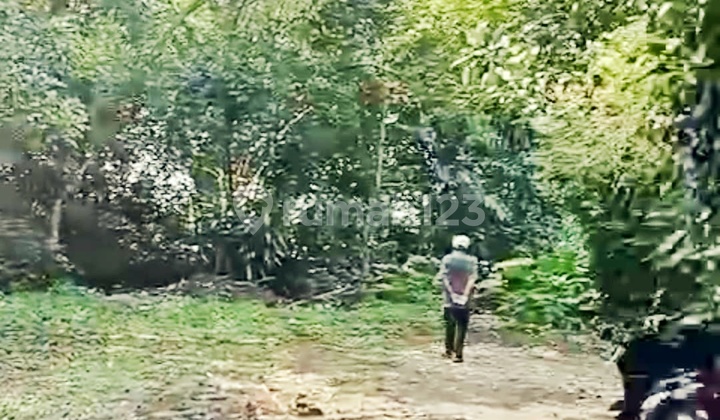 Dijual Tanah Di Pondok Sentul Ciater, Tangerang Selatan Dijual Tanah Di Pondok Sentul Ciater, Tangerang Selatan