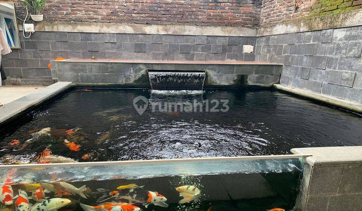 Rumah Dijual Kolam Koi Super 2