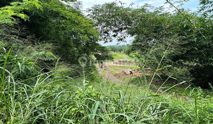 Tanah Dijual Sawah Dan Kebun 1