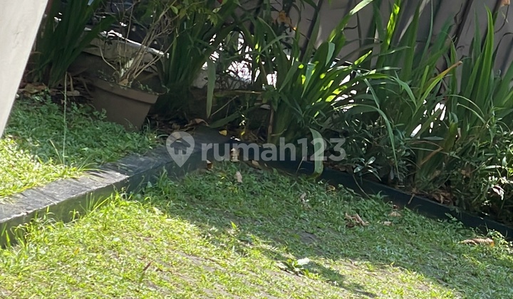 Land for Sale, Rare Find, Dago Palace, Main Road.