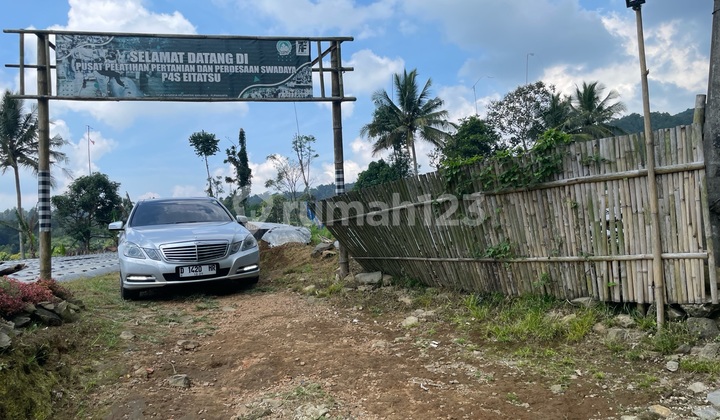 Land for Sale Chili Plantation Banana Chili Peppers Land for Sale Chili Plantation Banana Chili Peppers