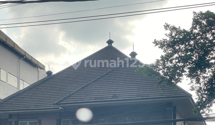 Rhinoceros lion Rhinoceros lion