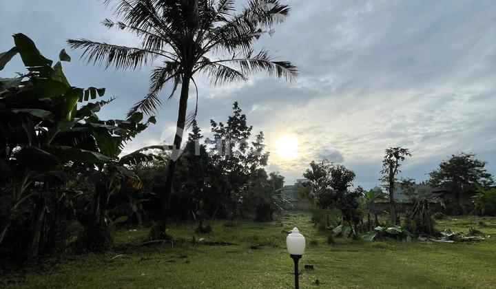 Dijual Tanah Luas 1665 m2 di Pamulang, Tangerang Selatan Dijual Tanah Luas 1665 m2 di Pamulang, Tangerang Selatan