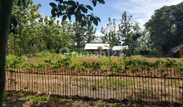 Dijual Tanah Luas 1417 m2 di Cisoka, Balaraja Dijual Tanah Luas 1417 m2 di Cisoka, Balaraja