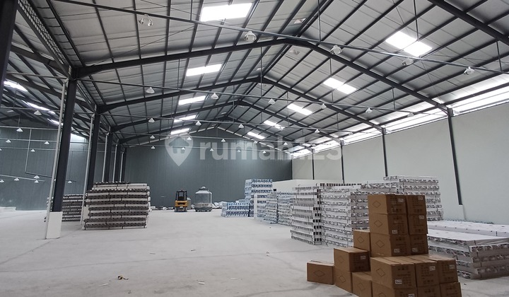 DISEWAKAN
GUDANG DI LEGOK LT 7000 AKSES KONTAINER 40 FEET DISEWAKAN
GUDANG DI LEGOK LT 7000 AKSES KONTAINER 40 FEET