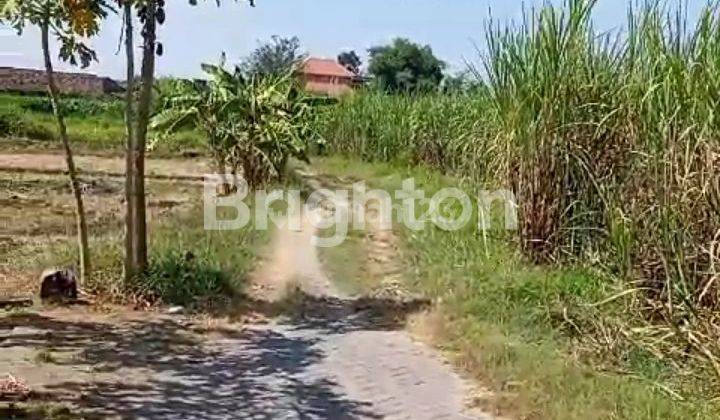 tanah siap bangun perumahan baru lokasi sangat strategis dan komersial 2