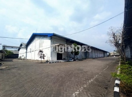 Ready-to-Live Warehouse in a Highly Strategic Location Ready-to-Live Warehouse in a Highly Strategic Location