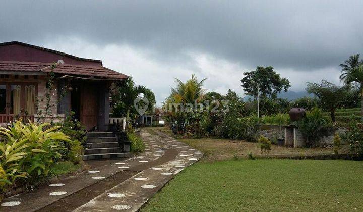 Villa Di Lahan Luas Terdiri Atas 4 Villa, Sawah, Kolam Renang & Kolam Ikan 1