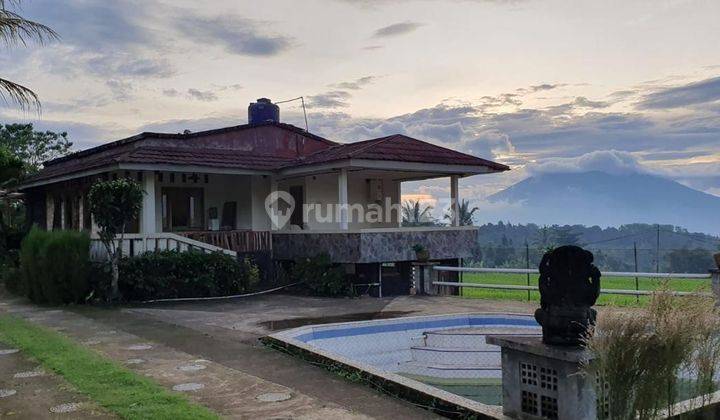 Villa Di Lahan Luas Terdiri Atas 4 Villa, Sawah, Kolam Renang & Kolam Ikan 2